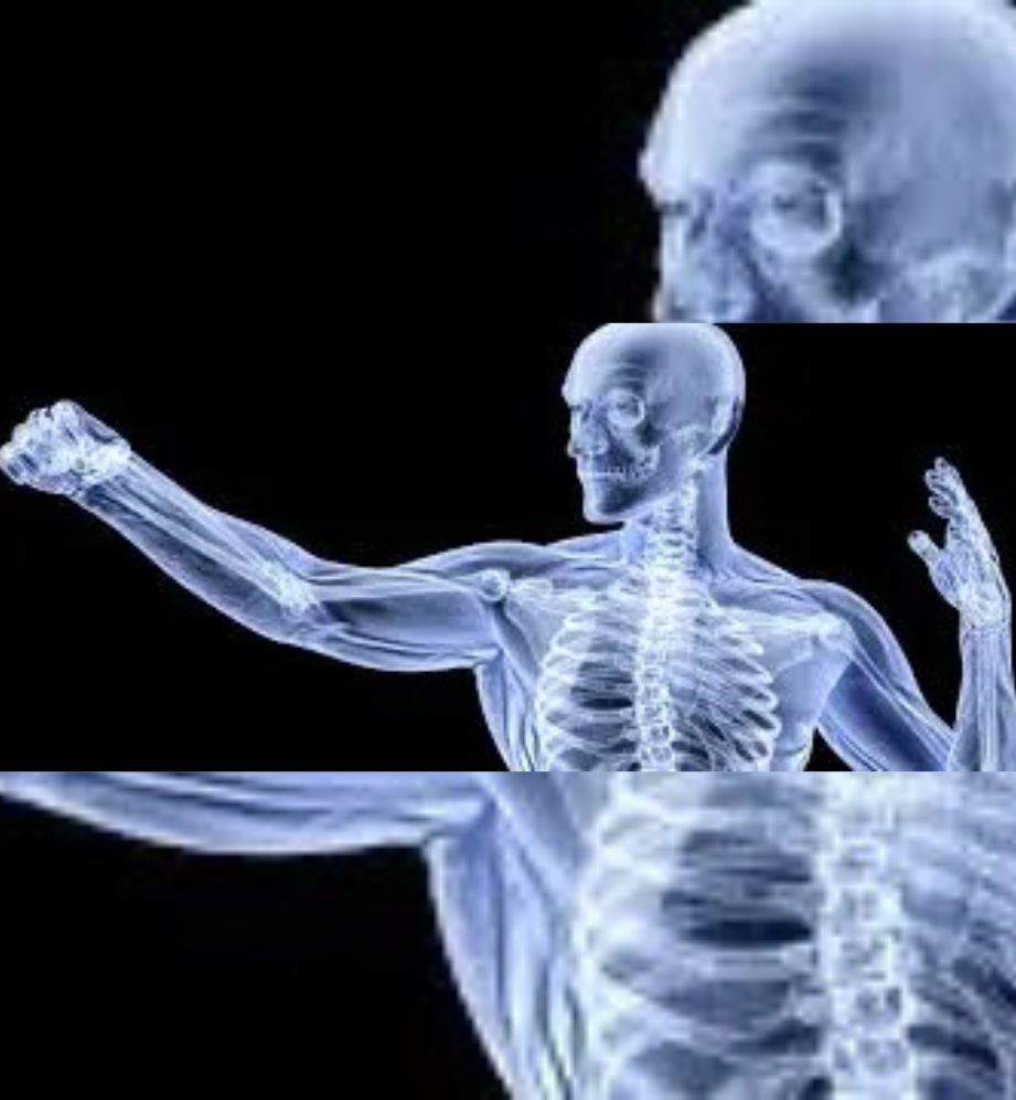 Regenerative Medicine